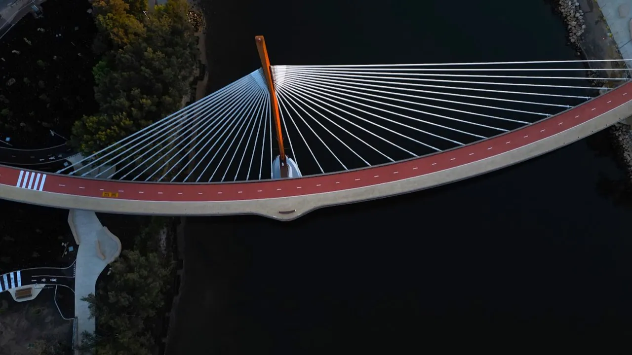 Top-down aerial view of a bridge spanning water, capturing its geometry, deck and cable structure