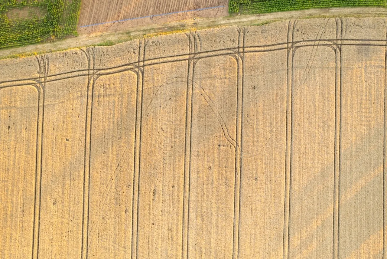 Geo-referenced top-down orthomosaic aerial map of land showing scale-accurate ground detail